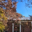 전라도양곡 | 대나무 파이프오르간의 매력-담빛예술창고