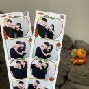 대성동물병원 | [공지] 25.10. 제주