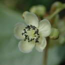 다래실천 이미지