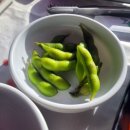 만중회수산 | [남당항 새조개축제] 겨울철별미 새조개샤브샤브 "예산집 만중이네회수산"