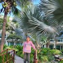 호텔자유 이미지