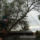 아름드리민박 이미지