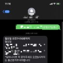 도그루밍 이미지