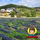 탄금호 민박 이미지