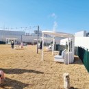 킴스펫 하우스 이미지