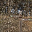 산수2리 이미지