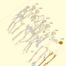 범선농장 | 바이킹 전사를 떼로 묻은 에스토니아 살메 배 매장지Salme Ship Burials
