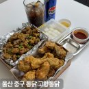 종가집양념통닭 | 울산 중구 통닭 우정동 치킨 맛집 우정동 맥주 맛집 고향통닭 울산 중구점