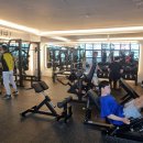 페르보 피트니스 이미지