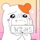러드
