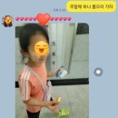 쥬쥬오락실 이미지