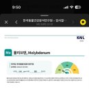 플러스모발