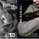 뷰티반려문화 이미지