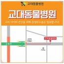 서초동물병원 이미지