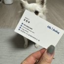 오도도그 이미지