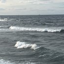 신창상회 이미지