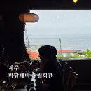 레몬비 코쿤애월점 | 제주 애월 횟집 추천 | 바담깨비 애월회관 고등어회(고해세트)·광어회 후기