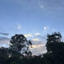 두손프라임 | 호주 워홀 D+147~153 | 호주키티를 찾아서 | 존 밀스 힘셀프 | 프라임데이 쇼핑 | 사랑의 음식들