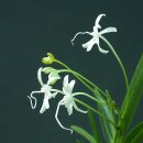 머믄자리 이미지