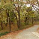 가르멜수도원 이미지