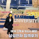 뉴스커뮤니케이션 | 첫 취준 삼성전자 문과 직무 합격후기 | 스펙 공개, 서합률 70% 이상 자소서 작성법 꿀팁 공유