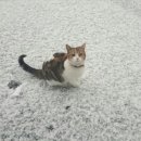 은행파출소 이미지