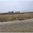 천안사랑공인중개사사무소 이미지