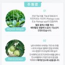(주)맥시즘
