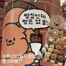 (주)콩고미 | 수원 스타필드 팝업 빵고미빵집 방문 후기