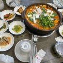 쭈꾸미엄나무닭한마리 이미지