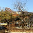도가네 - 파주시 통일로 412 | 진하게 우러난 상황버섯 능이 오리백숙의 품격있는 맛 파주 도가네 방문 후기