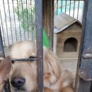 킴스케빈 이미지