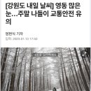 하이원콘도미니엄사우나 이미지