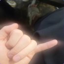 달산책