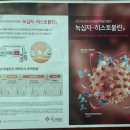 디프런트 | 안산 중앙동 피부과 추천 정환교 피부과의원 초진 새벽오픈런 후기(히스토불린+311 닥터 디프런트크림MD)