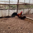 문영식 농장 이미지