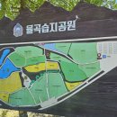 (주)율곡관광