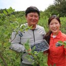 중복종합마트 이미지