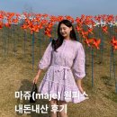 마쥬헤어 | [공지] 마쥬 원피스 내돈내산 후기& 가을겨울 패션템 코디 추천
