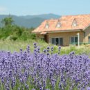 하늬농장 이미지