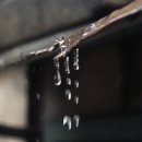 이*헌 - 안양시 동안구 관악대로 135 | 이*헌