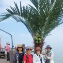 흥도초교 이미지