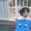 더힐풀스테이키즈풀빌라독채펜션 이미지