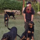 아이앤독 이미지