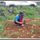 짱구2농장 이미지