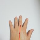 (주)디엔컴퍼니 이미지