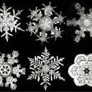 그냥 심심해서요. (42571) 눈송이는 얼음인데 왜 하얗게 이미지