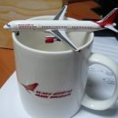 Aviation AIR INDIA A321 "마포한정판???" 이미지