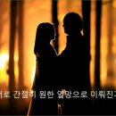 섬배정보화마을