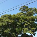 강석경로당 이미지